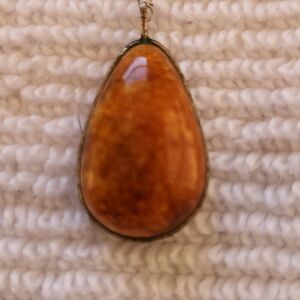 Baltic Sea lithuanian amber dainty silvertone necklace